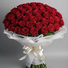 Букет 101 Красная роза Блэк Мэджик в Февральск