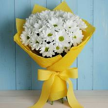 Букет цветов из:  Хризантемы в Февральск