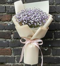 Букет цветов из:  Гипсофила в Февральск