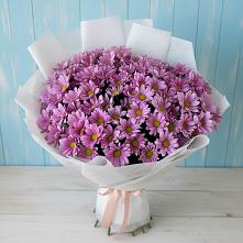 Букет цветов из:  Хризантемы #REPLACE_PRED# Февральск
