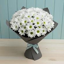 Букет цветов из:  Хризантемы в Февральск