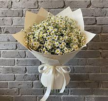 Букет цветов из:  Ромашки в Февральск