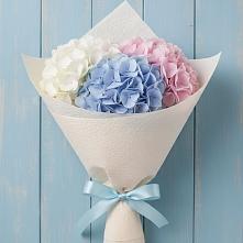 Букет цветов из:  Гортензия в Февральск