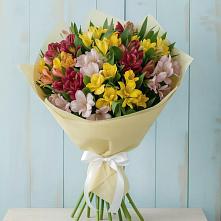 Букет цветов из:  Альстромерии #REPLACE_PRED# Февральск