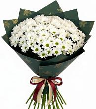 Букет цветов из:  Хризантемы в Февральск