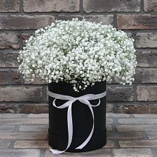Цветочная композиция из Гипсофила в шляпной коробке в Февральск