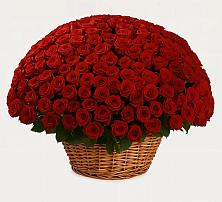 Премиум букет из: Розы в Февральск