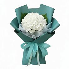 Букет цветов из:  Гортензия в Февральск